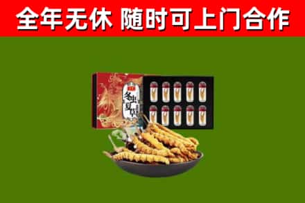 未央回收冬虫夏草价格